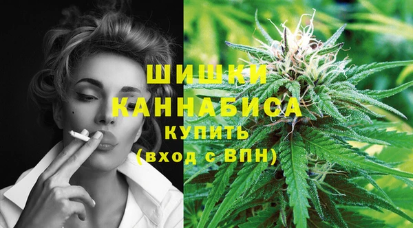дживик Аркадак