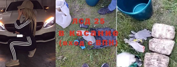 дживик Аркадак