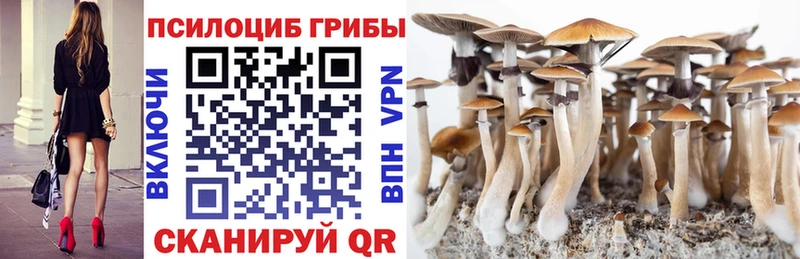 Псилоцибиновые грибы Psilocybe  Мамадыш 